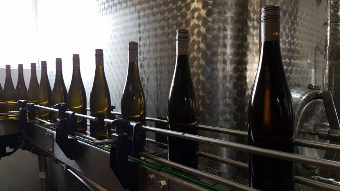 Erste Füllung des 2016er Jahrgangs