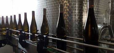 Erste Füllung des 2016er Jahrgangs